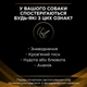 Сухий дієтичний корм PRO PLAN VETERINARY DIETS NF Renal Function для дорослих собак для підтримання функції нирок при хронічній хворобі нирок 1,5 кг - изображение 4