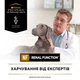 Сухий дієтичний корм PRO PLAN VETERINARY DIETS NF Renal Function для дорослих собак для підтримання функції нирок при хронічній хворобі нирок 1,5 кг - изображение 5