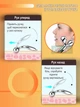 Водонепроницаемый ручной роликовый массажер 3D Massager для лица и всего тела - изображение 4