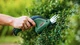 Акумуляторний кущоріз Bosch EasyShear (4059952615547) - зображення 4