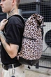 Рюкзак SG Travel Bag Леопард 386868531 RKTB0404 - изображение 7
