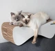 Когтеточка-лежанка для кошек Say Meow Cloud гофрокартон, 61х21х24 см (8040190102001) - изображение 4