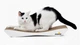Когтеточка-лежанка для кошек Say Meow Dream гофрокартон, 57×7×24 см (8040190101004) - изображение 3