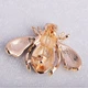 Брошка унісекс BROCHE біжутерія Комахи Муха коричнева BRSF111844 - зображення 3