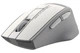 Мишка бездротова A4Tech FG30 Grey/White USB - зображення 2