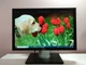 Монітор Dell Professional P1911b / 19" (1440x900) TN / DVI, VGA, USB / VESA 100x100 б/в - зображення 2