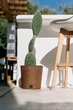 Горщик для квітів Prosperplast FURU ECO WOOD 25х24.7см круглий низький із вкладишем бежевий (57185-4665) - зображення 2