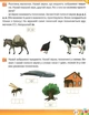 Рабочая тетрадь дошкольника. Осень. Старшая группа. 5-6 лет - Остапенко А. (На украинском языке) - изображение 5