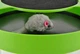 Интерактивная когтедерка для котов и кошек "Поймай мышку" Catch The Mouse Green - изображение 4