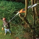 Цепная пила Black&Decker высоторез с штангой, 0.8 кВт, длинна 244 см, длина шины 25 см (PS7525) - изображение 2