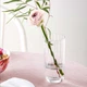 Набор стаканов 15 см, 4 шт Rose Garden Glass Villeroy&Boch 1137258260 - изображение 5