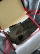 Панчохи з оксамитовою коронкою та малюнком Камасутра Gatta Ars Amandi Calze 03 20 Den 1/2 Чорний (Арт 0277) - зображення 12
