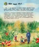 Дитяча енциклопедія про ліс 614016 для дошкільнят - зображення 7