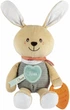 М'яка іграшка з прорізувачем Chicco Зайченя DouDou для обіймів (11467.00) - зображення 2