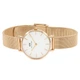 Наручные часы Daniel Wellington DW00100219 Белый/Розовое золото Нержавеющая сталь - изображение 1