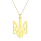 Подвеска кулон герб Тризуб с цепочкой золотистый Fashion Jewelry (II)19947 - изображение 4
