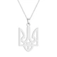 Подвеска кулон герб Тризуб с цепочкой серебристый Fashion Jewelry (II)19948 - изображение 2