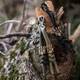 Брелок из паракорда Тризуб OLIVE. З латунною намистиною ручного лиття - изображение 2