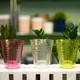 Кашпо для орхідей FormPlastic Diamant-mini Orhidea 1,12 л прозоро-рожевий (3790-T10) - зображення 2