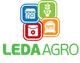 Меренга F1 Огірок Самозапильний Насіння Leda Agro 250 шт - изображение 2
