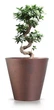 Горшок для цветов Prosperplast TUBUS CORTEN 20х20х18.7см круглый бронза (65803-7601) - изображение 2