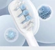 Насадки для зубной щетки Mijia Sonic Electric Toothbrush Heads T301/T302/T501 Standard 3шт White(BHR5687CN) - изображение 3