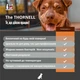 Нейтралізатор запаху сечі собак ODORCIDE® Dog Odor-Off 100 мл - зображення 5