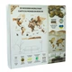 Деревянная карта мира 3D Creatifwood шоколадная XL (150*105 см) CM046 - изображение 2