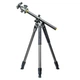 Штатив Vanguard Alta Pro 2+ 263AB 100 (Alta Pro 2+ 263AB 100) - зображення 1