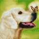 Алмазная мозаика ColorArt 20х20 Собачка с бабочкой DD1209 - изображение 2