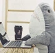 Мягкая игрушка IKEA Акула 100 см серая ( а47 ) - изображение 2