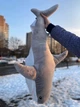 Мягкая игрушка IKEA Акула 100 см серая ( а47 ) - изображение 4