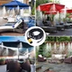 Набір для охолодження Patio Mist Cooling kit 15 м призначений для використання в альтанках та садах. - зображення 2