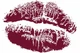 Помада для губ Vipera Magnetic Lipstick с ультрастойким бархатным финишем №05 salvo, 4 г ( 5903587045059 ) - изображение 2