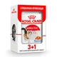 Вологий корм Royal Canin Instinctive консервований для кішок старше 1 року (шматочки в желе) 85г 3+1 шт - зображення 1