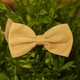Бабочка Bow Tie House Basic оранжевая в мелкий оранжевый горошек 05697 - изображение 1