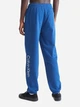 Спортивные штаны мужские Calvin Klein 85809251 2XL Синие (1159788258) - изображение 2