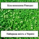 Белый клевер ползучий Ривендел 0,5 кг GreenHome - изображение 3
