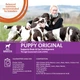 Консервы для щенков Wellness CORE Puppy Original Chicken with Turkey with Pumpkin с курицей и индейкой 400г - изображение 5