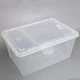 Тераріум, фаунаріум Terrario Faunarium 33x22x15см (tr-box-l) - зображення 2