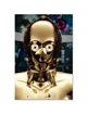 Постер плакат FNBK C3PO (Star Wars, Звездные войны) 50x70 см - изображение 1