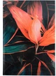 Записна книжка Axent Flora А4 клітинка 192 аркуші Поморанчева (8423-28-A) - зображення 1