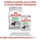 Сухой корм для собак малых пород Royal Canin Digestive Care Mini с чувствительным пищеварением, 3 кг - изображение 5