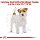 Сухой корм Royal Canin (Роял Канин) Jack Russell Terrier для Джек-рассел-терьеров от 10 мес 3 кг - изображение 2