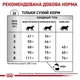 Сухий корм Royal Canin (Роял Канін) Calm Feline для кішок в періоди адаптації при зміні умов життя 4 кг - зображення 5