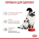 Консервы для котят с момента отъема до 4 месяцев Royal Canin Mother and Babycat , 195 г - изображение 5