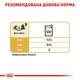 Влажный корм Royal Canin Chihuahua Adult для взрослых собак породы чихуахуа, 85 г - изображение 6