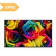 ALR экран для ультракороткофокусного проектора XPRO LedProjector PET Crystal BSP (FFB), 100" черный (W01028_14599) - изображение 2