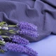 Ткань трикотаж жаккард Арнела серо фиолетовый - изображение 3
