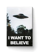 Картина FNBK Я хочу верить (The X-Files) 30x40 см - изображение 1